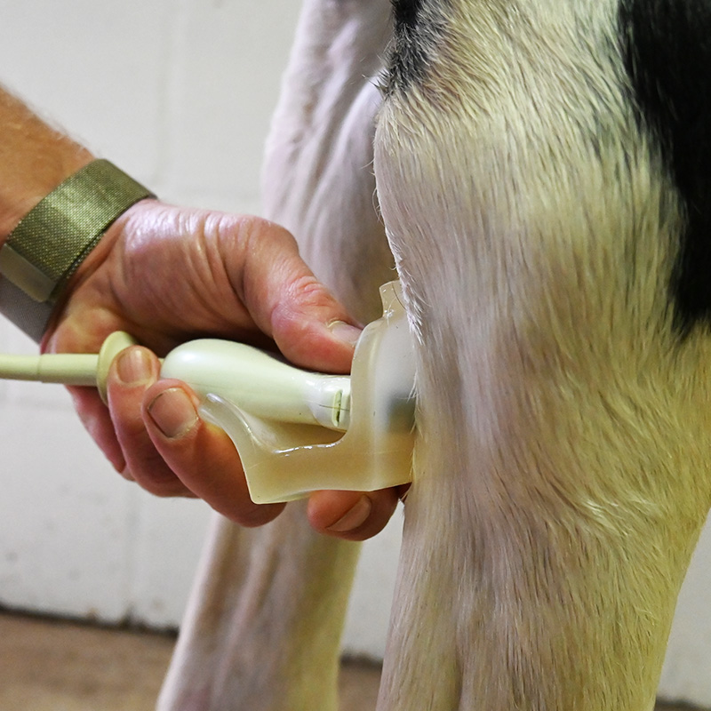 MXR U standoff, eksempel 1